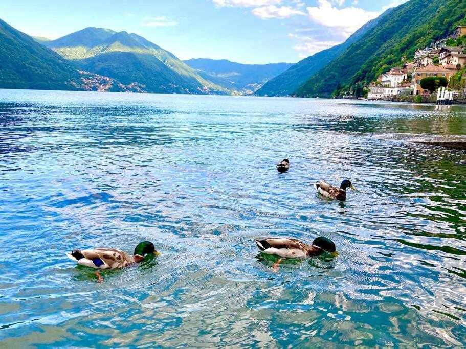 Una Finestra Sul Lago Argegno Εξωτερικό φωτογραφία